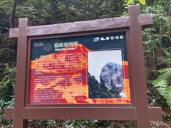 -雁荡山大龙湫景区
