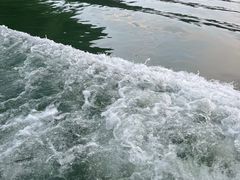 -南湾湖