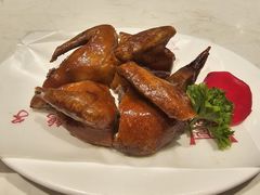 -燕郊烧鸽子(酷车小镇店)