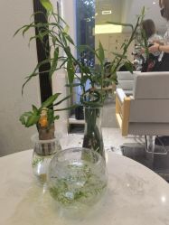 点击看大图 -菲·木田moontin造型salon