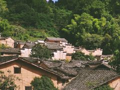 -杨家堂村