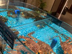 -百富源·海鲜辽菜(张士店)