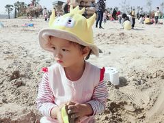 -九龙湖公园