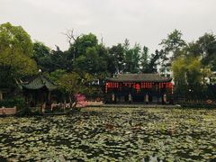 -房湖公园