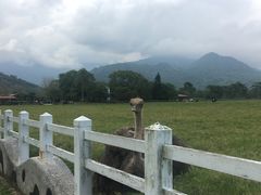 -瑞穗牧场