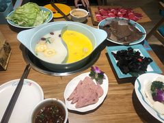 -青瓷火锅料理(西单大悦城店)