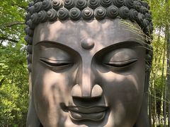 -杭州植物园