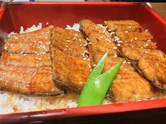 -水之惠鲜鱼料理(王府大街店)