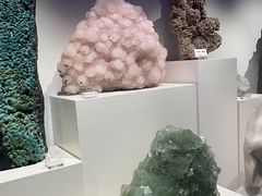 -重庆自然博物馆(新馆)