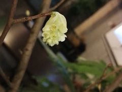 -Sample(虹桥·正荣府店)