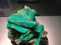 -中国地质博物馆