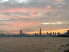 -宝安西湾红树林湿地公园