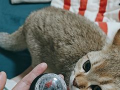 -天爱图文刻章备案刻公章备案·登报