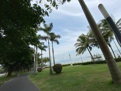 -深圳湾公园(南山区)
