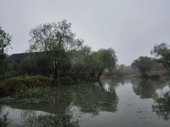 -长兴太湖图影湿地文化园