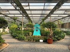 -南宫五洲植物乐园