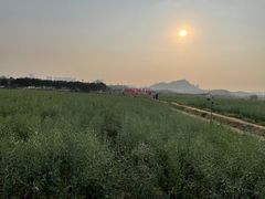 -光明小镇欢乐田园
