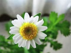 -终南山国家森林公园