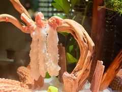 -蟹犇前•帝王蟹雪蟹(陆家嘴店)
