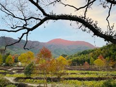 -塔川景区