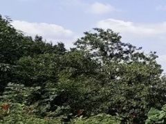 -南京市无想山景区