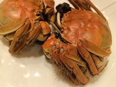 -梦都海鲜酒家(万达广场江桥店)