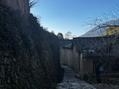 -杨家堂村