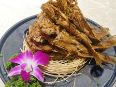 -鲜螺湾(鹏欣丽都店)