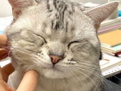 -宠颐生中康贝怡动物医院