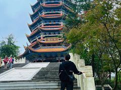 -铁山坪森林公园