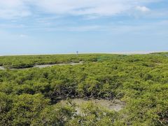 -北海金海湾红树林生态旅游区