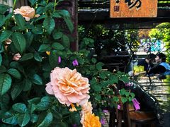 -菩提书坊(侨福大厦店)