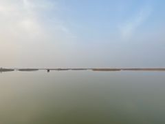 -盐城丹顶鹤湿地生态旅游区
