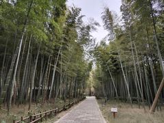 -同里国家湿地公园