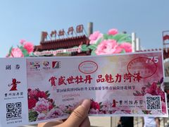 -曹州牡丹园
