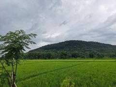 -艾米稻香小镇