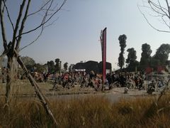 -秀丽东方
