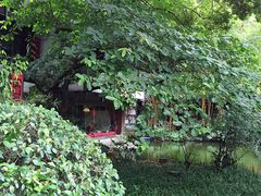 同庆堂-同庆堂(解放北路店)