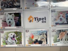 -翊宠yipet猫狗购宠庄园犬舍•猫舍