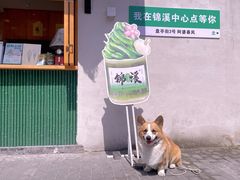 -锦溪古镇