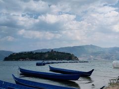 -阳光海岸