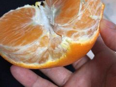 -星巴克(长春迅驰广场店)