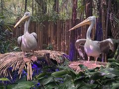 -广州长隆野生动物世界