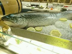 -漢咖啡·全服务式自助晚餐(武汉洲际酒店)