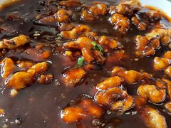 -一路顺风太安鱼