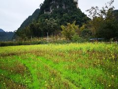 -靖西鹅泉风景区