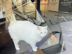 -弓舍射箭俱乐部(高新总店)