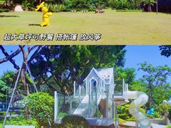 -银湖山郊野公园-相思林