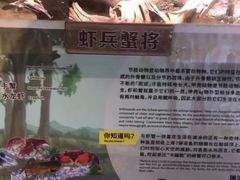 -正佳雨林生态植物园