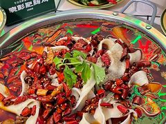 -晓彭肥肠鸡(春熙路店)